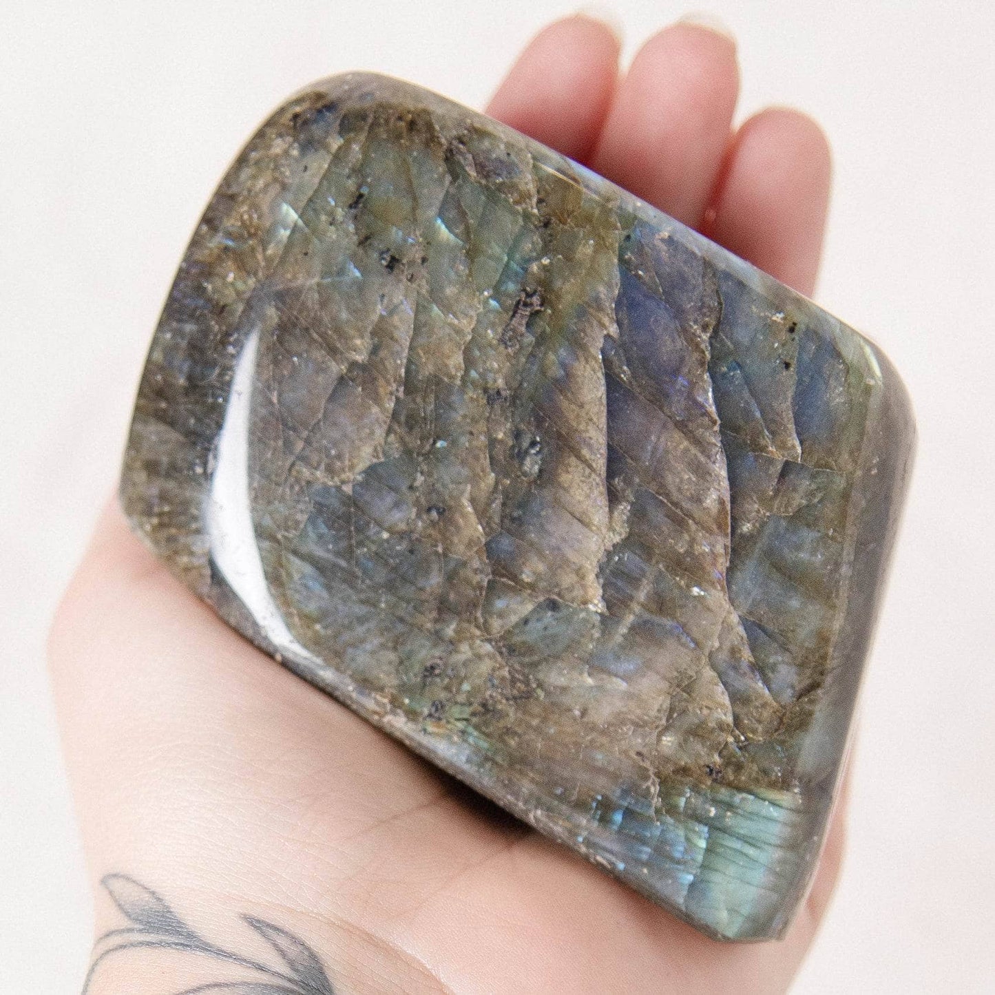 Labradorite Blue Flame Freeform - AAA Premium Quality