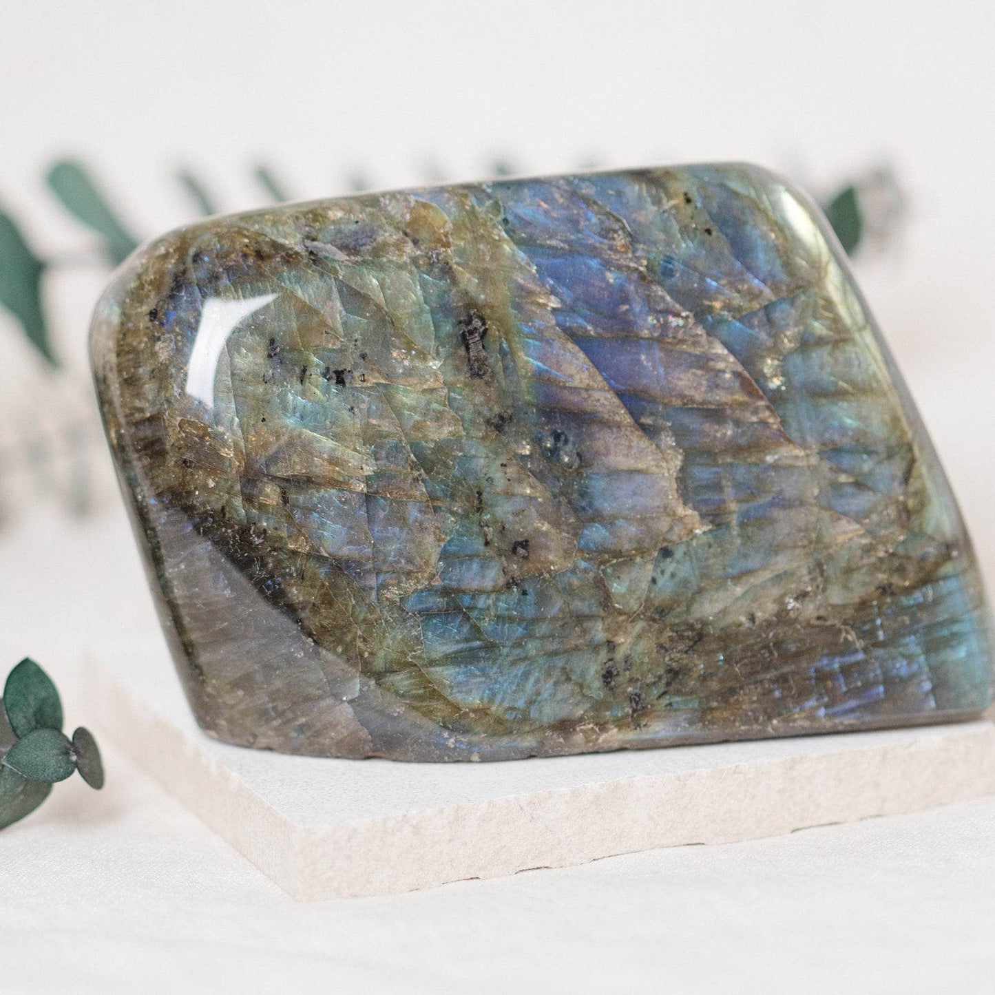 Labradorite Blue Flame Freeform - AAA Premium Quality