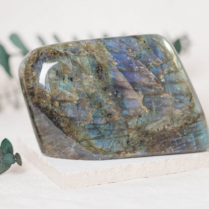 Labradorite Blue Flame Freeform - AAA Premium Quality
