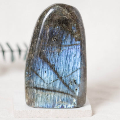 Labradorite Blue Flame Freeform - AAA Premium Quality