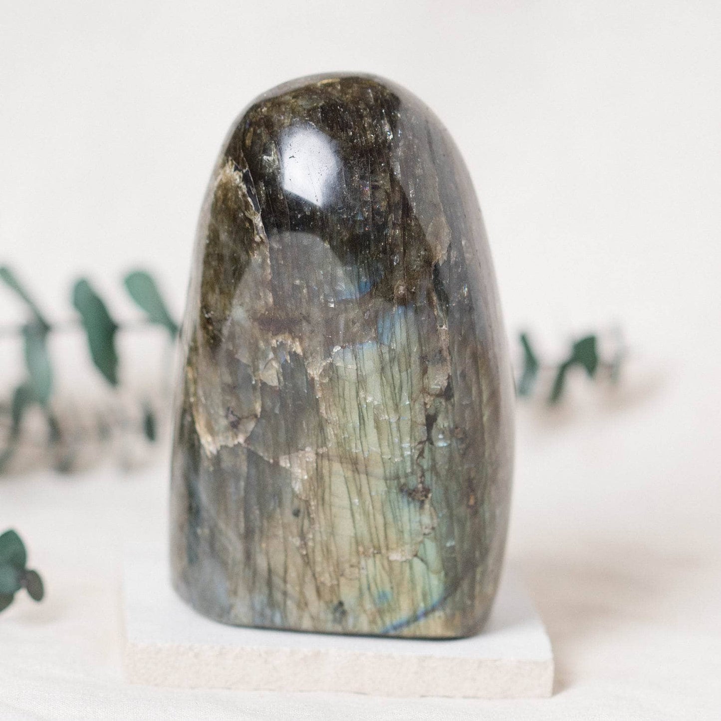 Labradorite Blue Flame Freeform - AAA Premium Quality