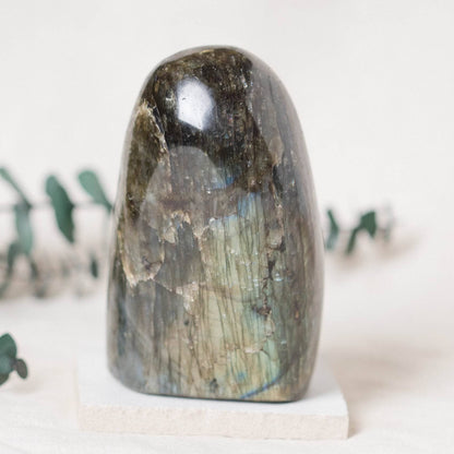 Labradorite Blue Flame Freeform - AAA Premium Quality