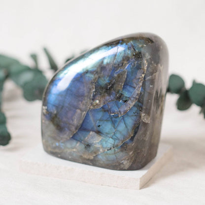 Labradorite Blue Flame Freeform - AAA Premium Quality