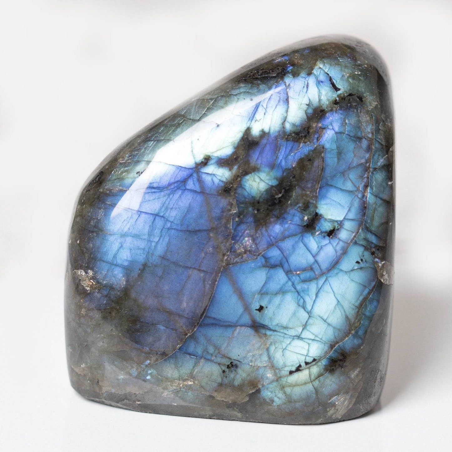 Labradorite Blue Flame Freeform - AAA Premium Quality