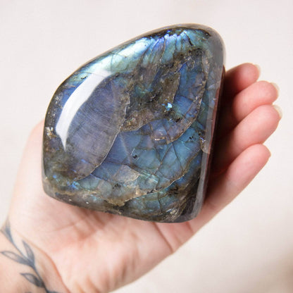 Labradorite Blue Flame Freeform - AAA Premium Quality