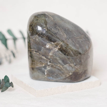 Labradorite Blue Flame Freeform - AAA Premium Quality