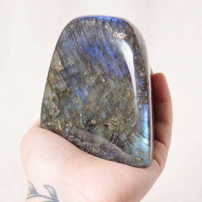 Labradorite Blue Flame Freeform - AAA Premium Quality