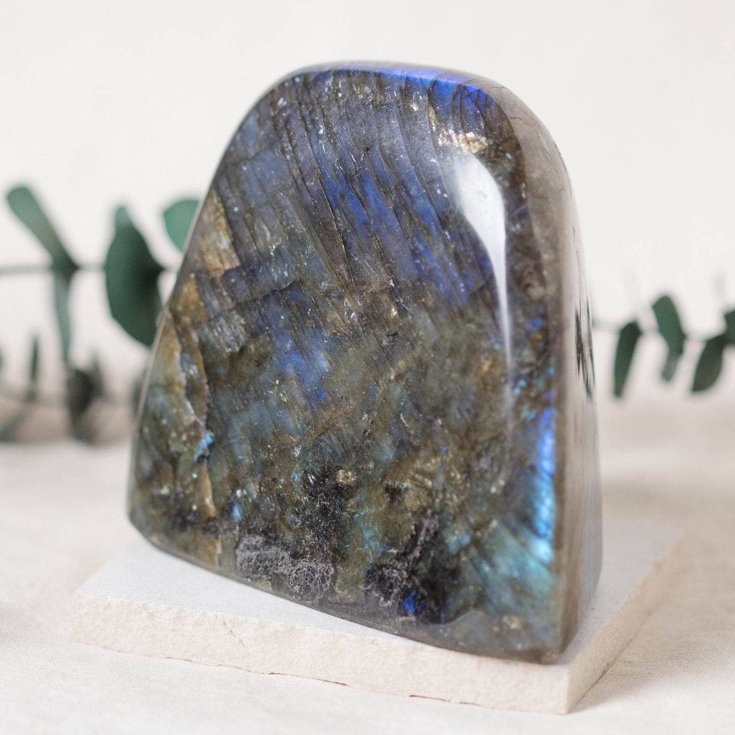 Labradorite Blue Flame Freeform - AAA Premium Quality