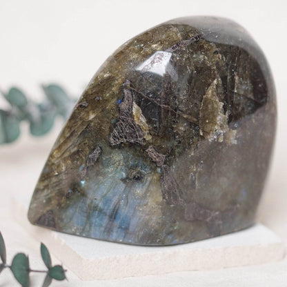 Labradorite Blue Flame Freeform - AAA Premium Quality