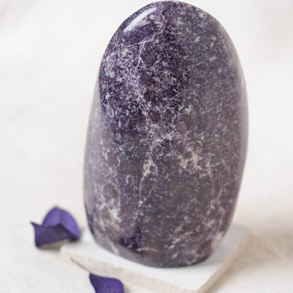 Lepidolite Freeform - AAA Premium Quality