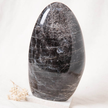 Black Moonstone Freeform - AAA Premium Quality