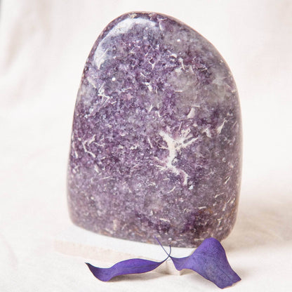 Lepidolite Freeform - AAA Premium Quality