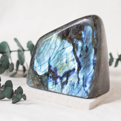 Labradorite Blue Flame Freeform - AAA Premium Quality