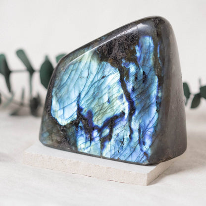 Labradorite Blue Flame Freeform - AAA Premium Quality