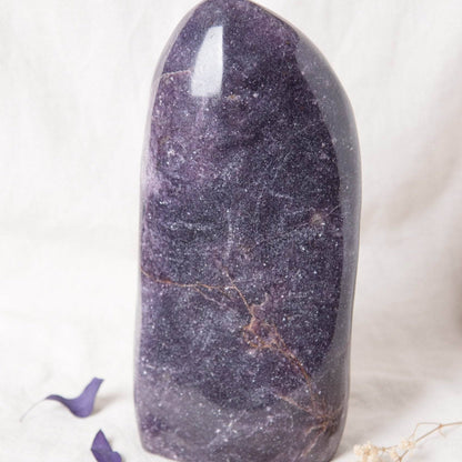 Lepidolite Freeform - AAA Premium Quality