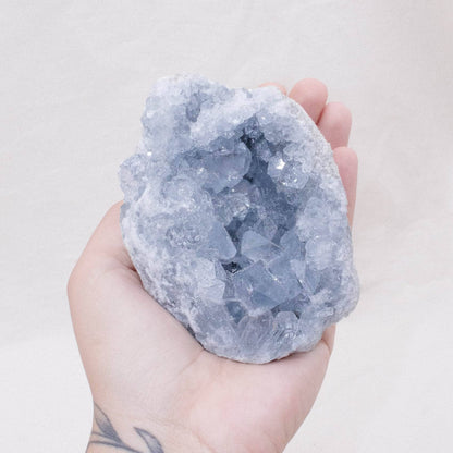 Celestine Geodes - Large - AAA Premium Quality