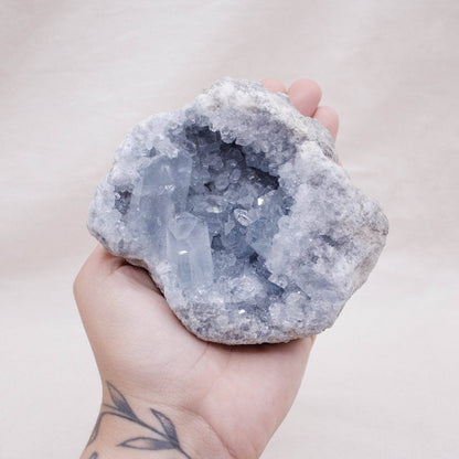 Celestine Geodes - Large - AAA Premium Quality
