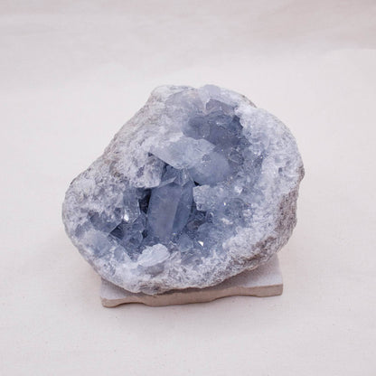 Celestine Geodes - Large - AAA Premium Quality