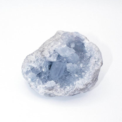 Celestine Geodes - Large - AAA Premium Quality