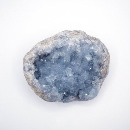 Celestine Geodes - Large - AAA Premium Quality