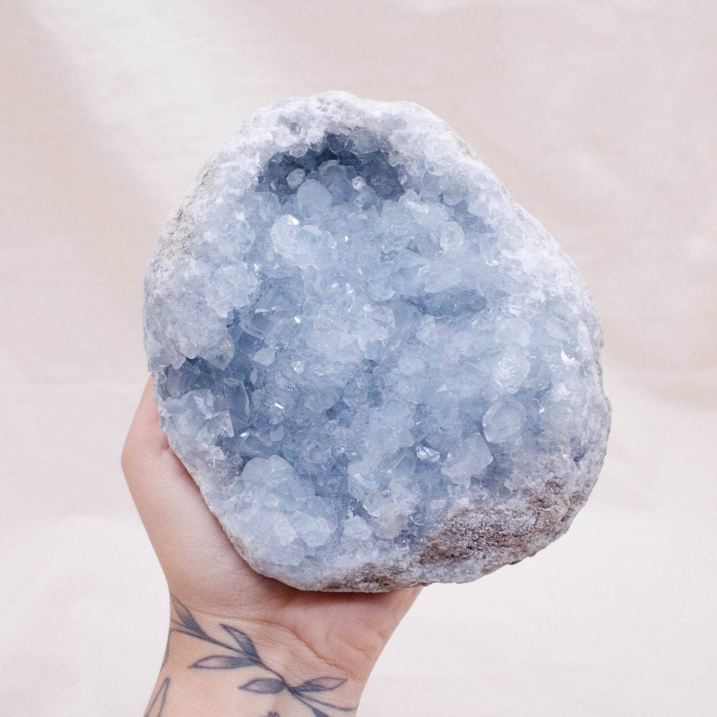 Celestine Geodes - Large - AAA Premium Quality