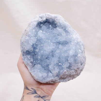 Celestine Geodes - Large - AAA Premium Quality