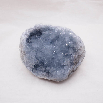 Celestine Geodes - Large - AAA Premium Quality