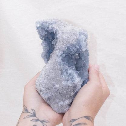 Celestine Geodes - Large - AAA Premium Quality