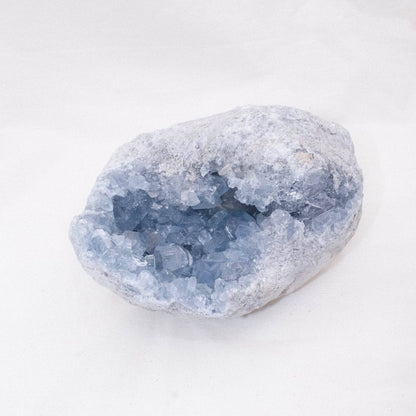 Celestine Geodes - Large - AAA Premium Quality