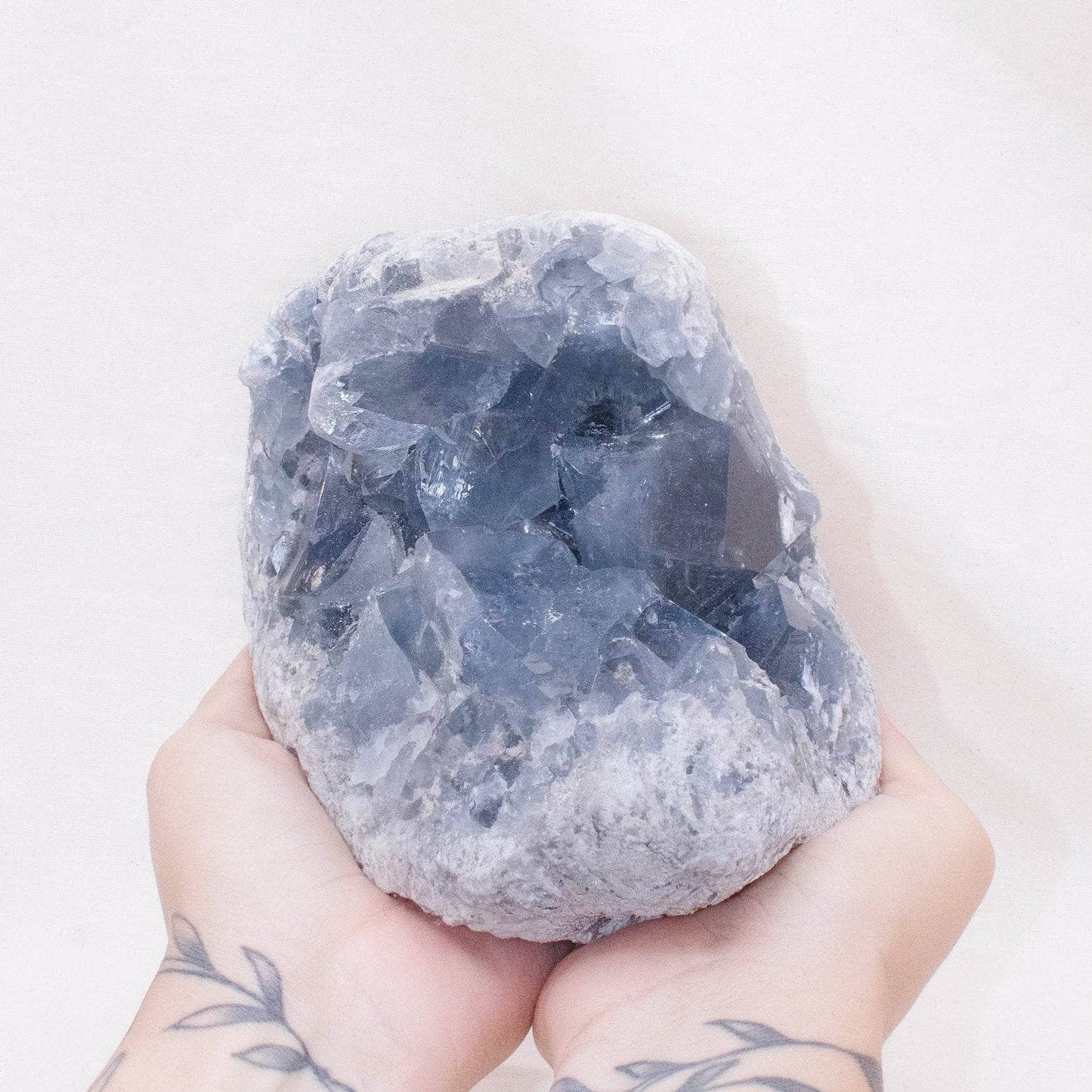Celestine Geodes - Large - AAA Premium Quality