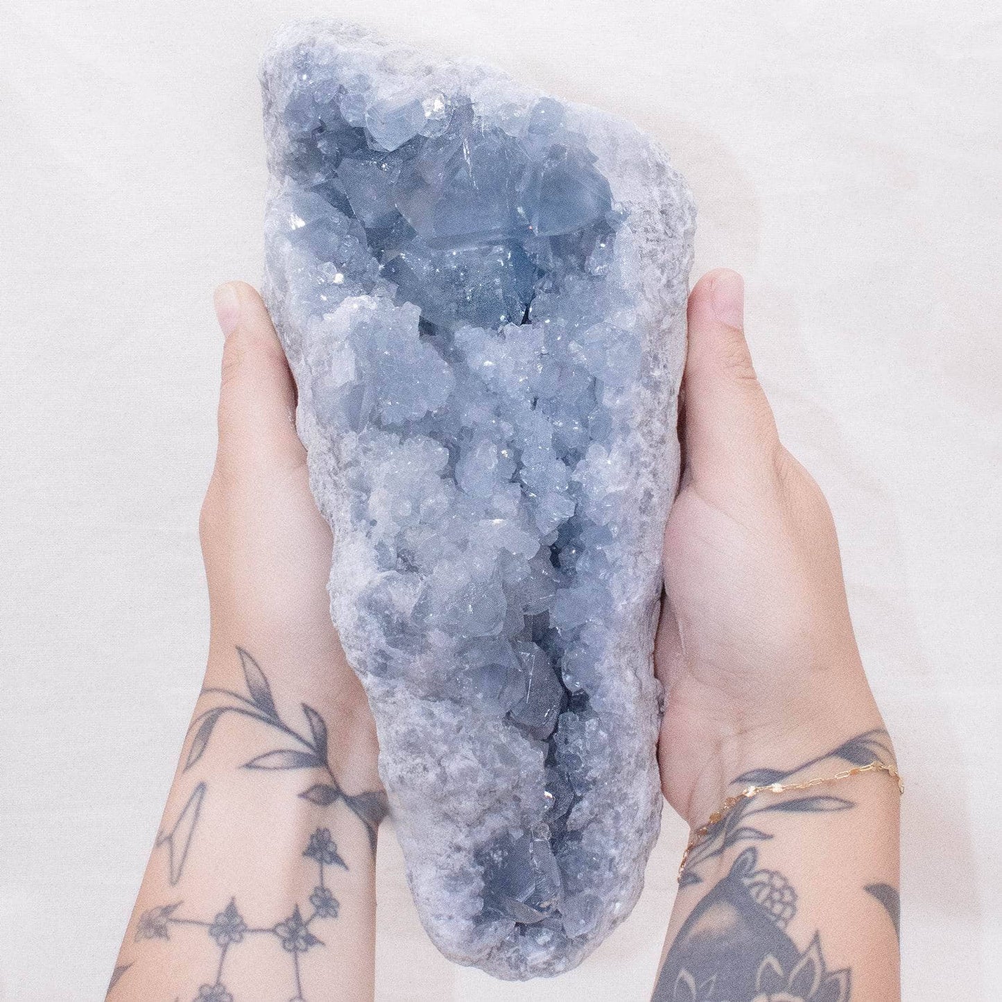 Celestine Geodes - Large - AAA Premium Quality