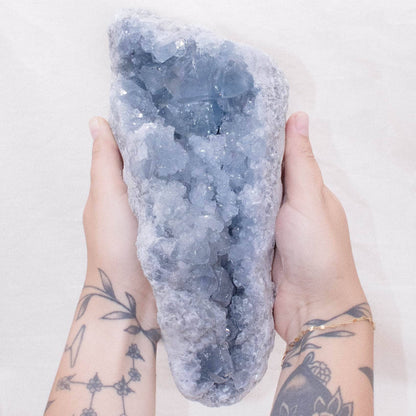 Celestine Geodes - Large - AAA Premium Quality