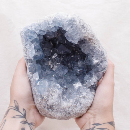 Celestine Geodes - Large - AAA Premium Quality