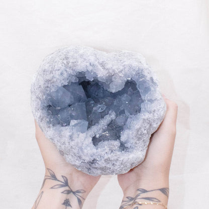 Celestine Geodes - Large - AAA Premium Quality