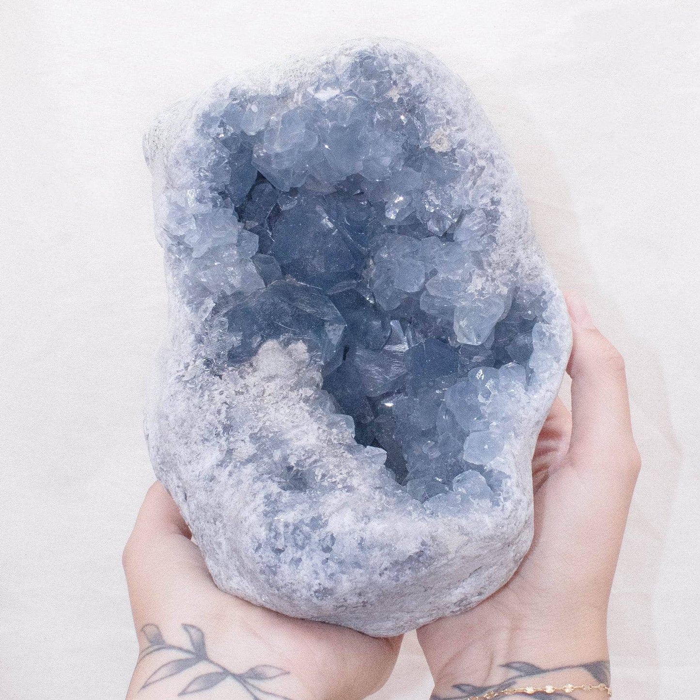 Celestine Geodes - Large - AAA Premium Quality