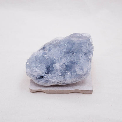 Celestine Geodes - Large - AAA Premium Quality