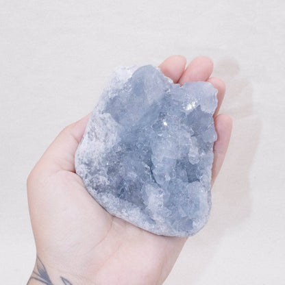 Celestine Geodes - Large - AAA Premium Quality
