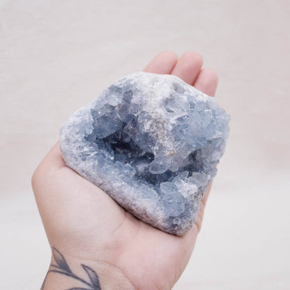 Celestine Geodes - Large - AAA Premium Quality