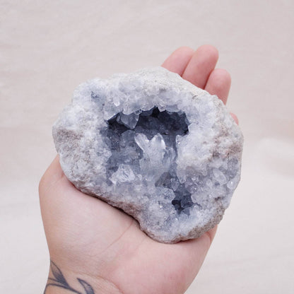 Celestine Geodes - Large - AAA Premium Quality