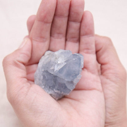 Celestine Geodes - Small - Brazilian Collection