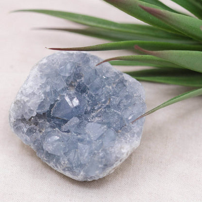 Celestine Geodes - Small - Brazilian Collection