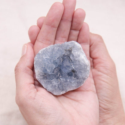 Celestine Geodes - Small - Brazilian Collection