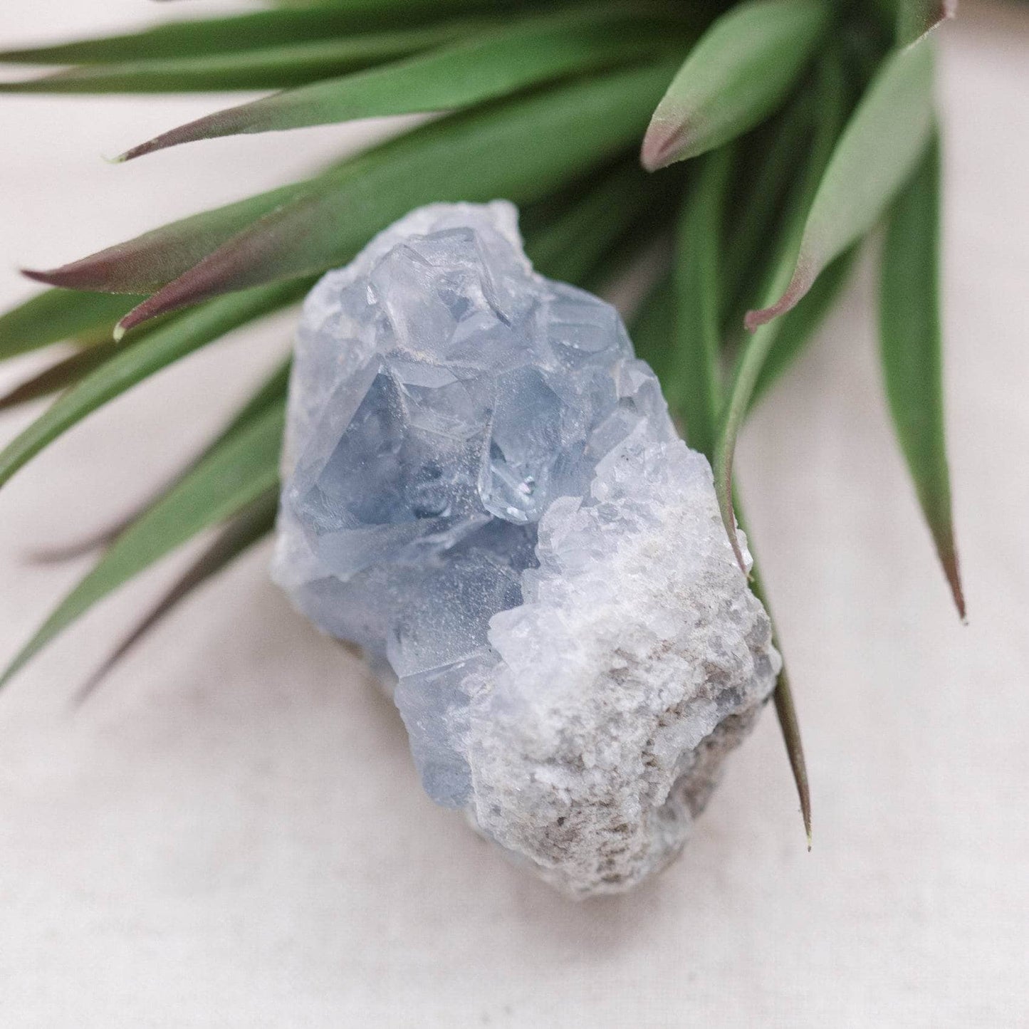Celestine Geodes - Small - Brazilian Collection