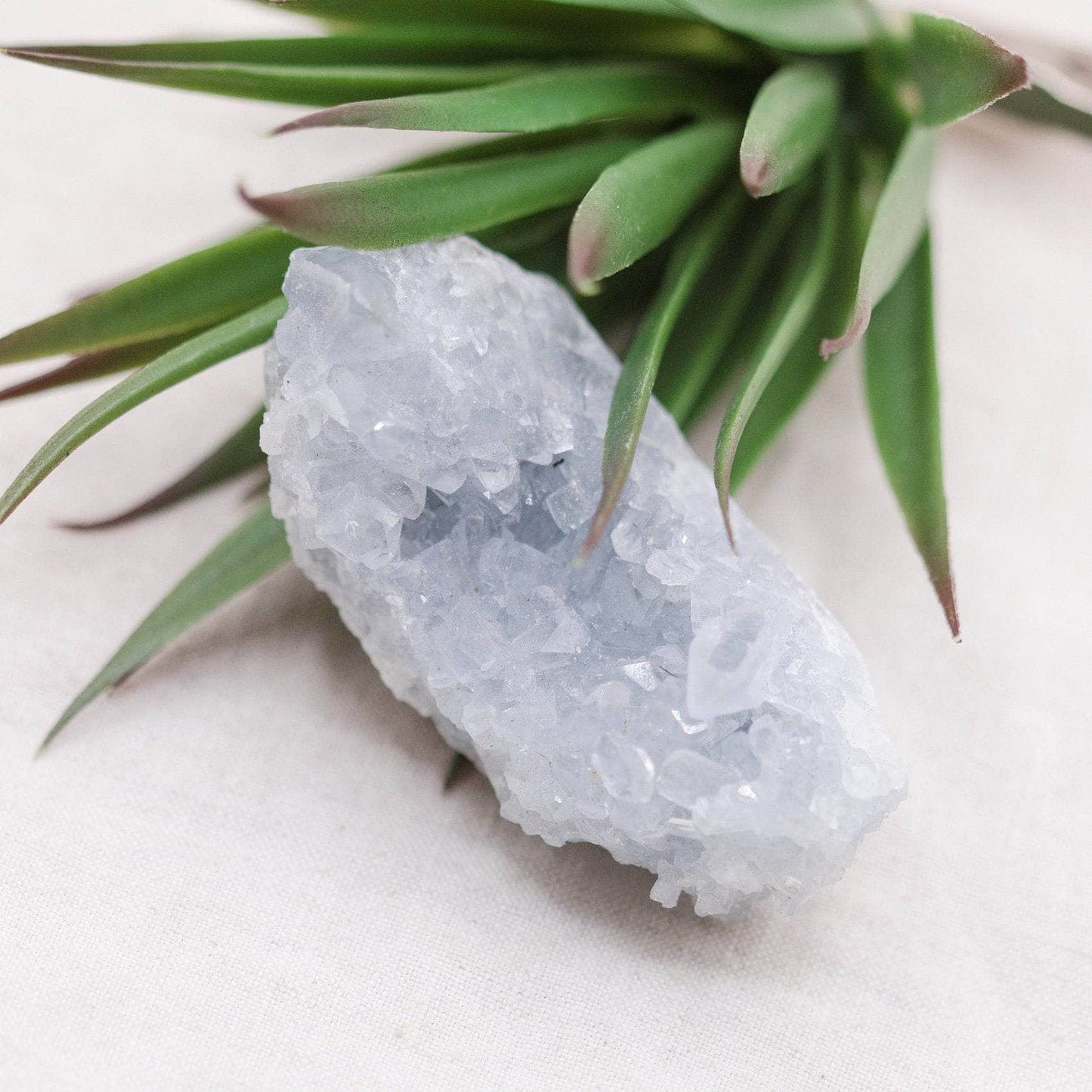 Celestine Geodes - Small - Brazilian Collection