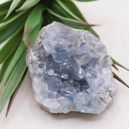 Celestine Geodes - Small - Brazilian Collection