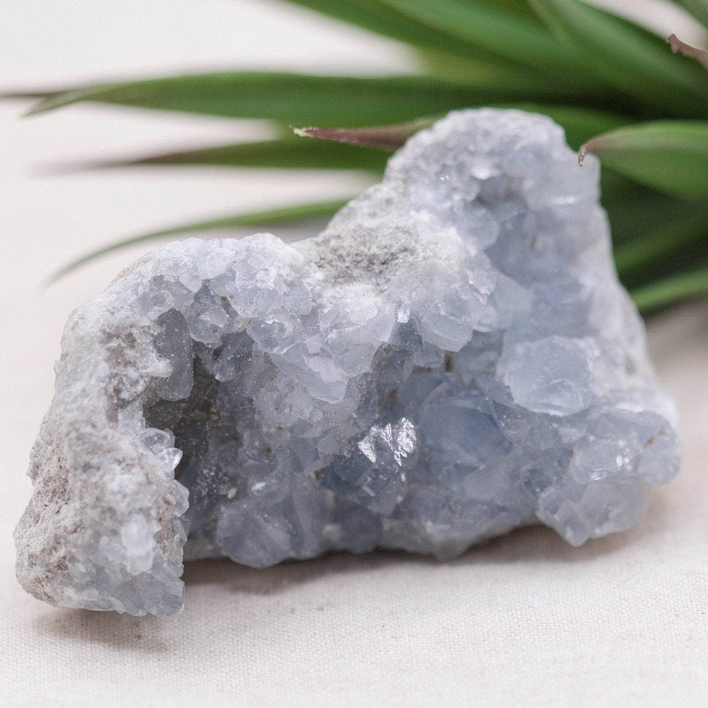 Celestine Geodes - Small - Brazilian Collection