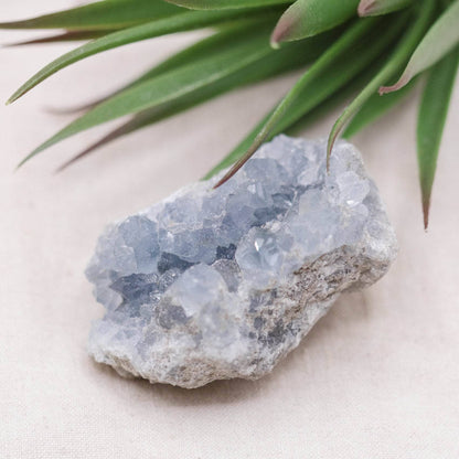Celestine Geodes - Small - Brazilian Collection