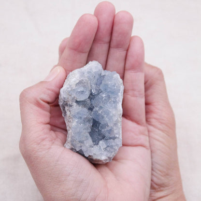 Celestine Geodes - Small - Brazilian Collection