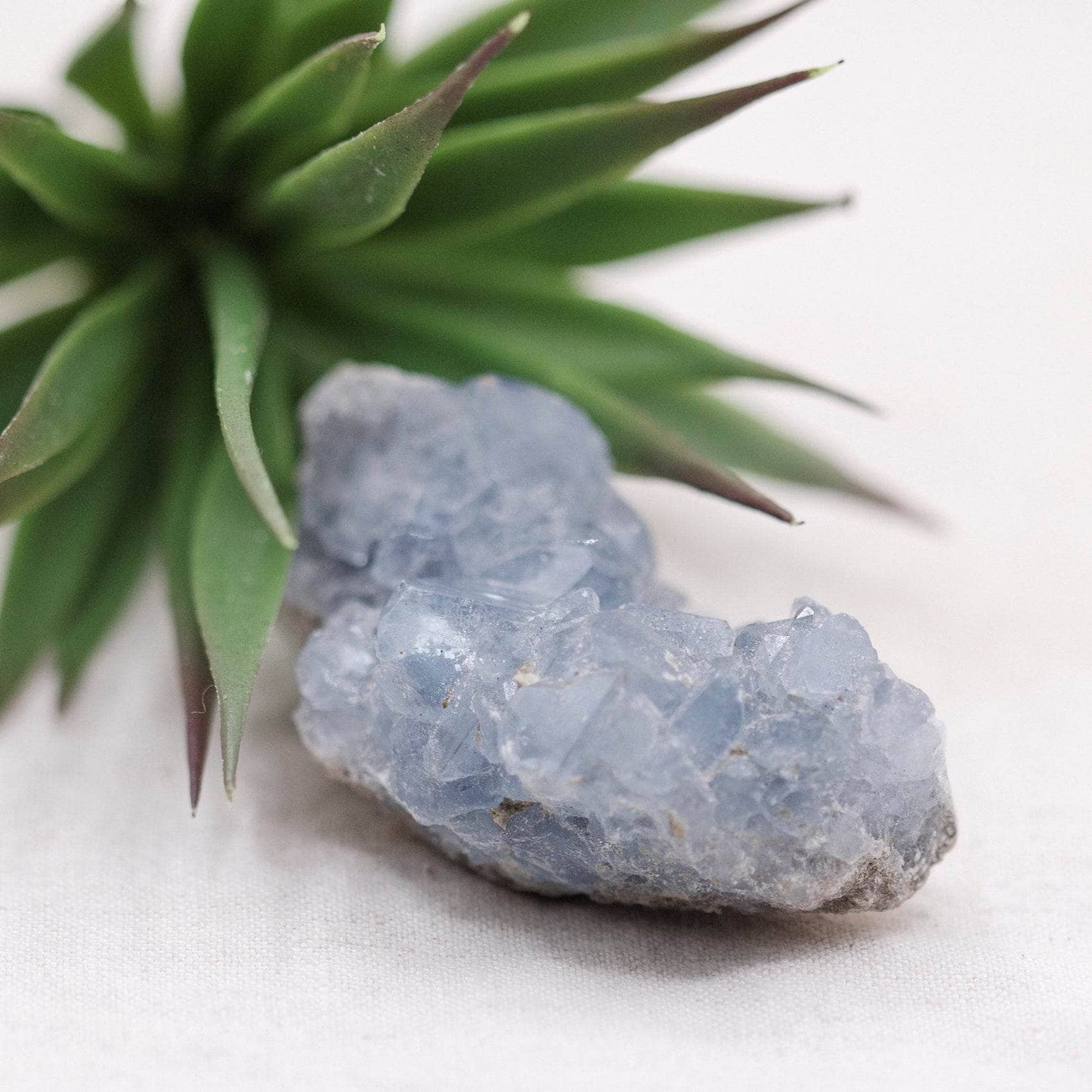 Celestine Geodes - Small - Brazilian Collection