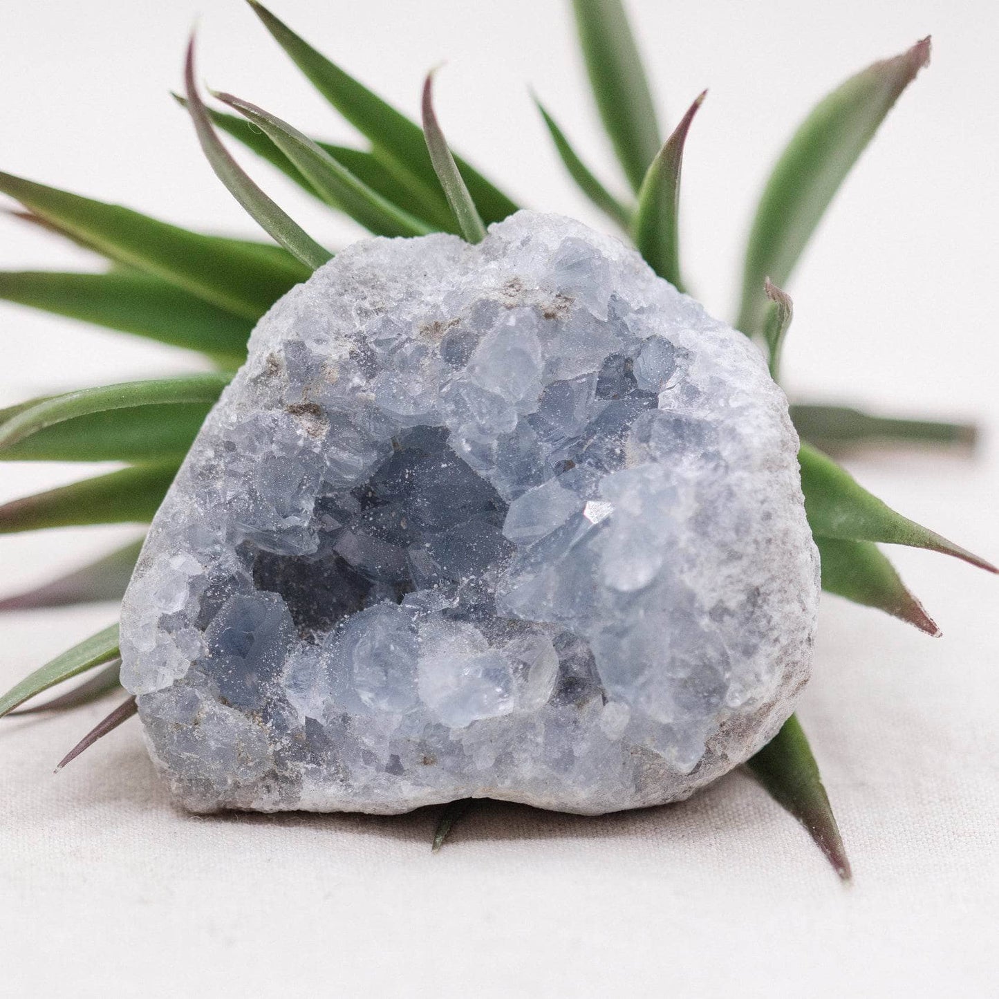 Celestine Geodes - Small - Brazilian Collection